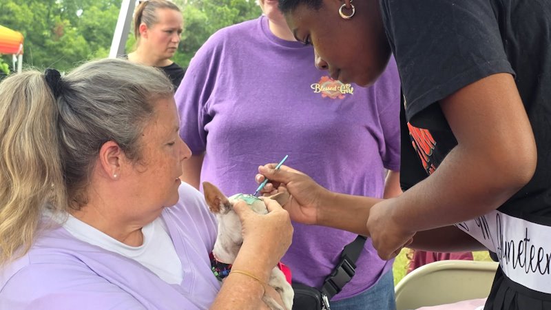 Here's a First - Dog Face Painting